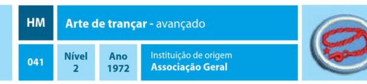Arte de trançar - avançado