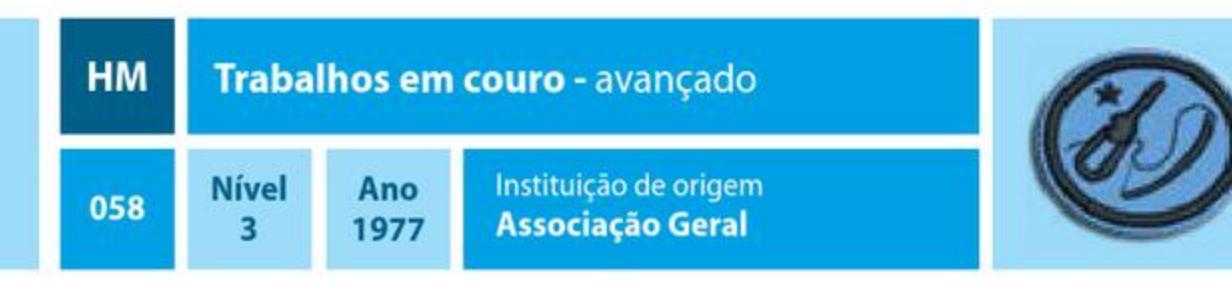 Trabalhos em couro - avançado