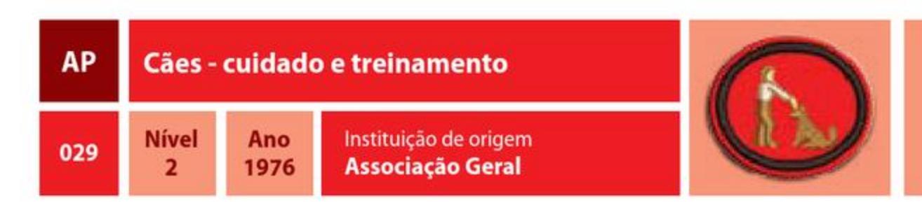 Cães - cuidados e treinamento