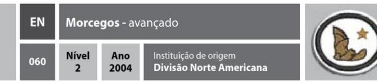 Morcegos - avançado