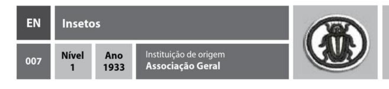 Insetos